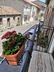 un balcón con una maceta sobre una barandilla en Casa Vacanza "A Due Passi", en Paravati