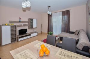 Gallery image of Apartments Viola Superior in Promajna