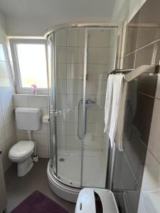 a bathroom with a shower and a toilet at Apartmani Nina i Niko in Ugljan +25 photos