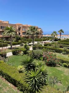 un jardin avec des palmiers et des plantes devant un bâtiment dans l'établissement 396 Blumar Chalet North Coast Sidi-abdelrahman families & couples only, à El Alamein