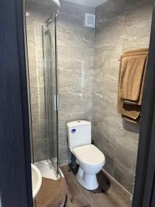 W łazience znajduje się toaleta i przeszklony prysznic. w obiekcie Bastion w mieście Samostrely