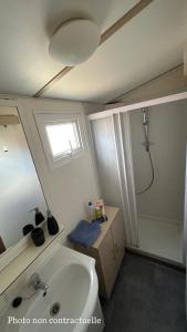 y baño con lavabo, aseo y ducha. en Les mobil homes de NOLY Draps inclus ,TV ,Clim, en Port-la-Nouvelle