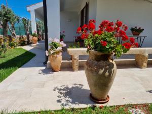 Zahrada ubytování Kleade B&B
