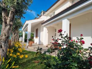 Zahrada ubytování Kleade B&B