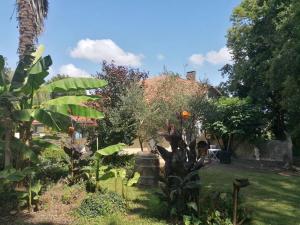Zahrada ubytování Domaine Manos