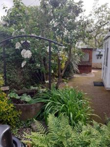 a garden with a gate and a tree with white flowers at Coquet appartement 6 personnes avec jardin in Wintzenheim