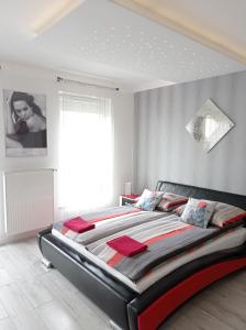 1 dormitorio con 1 cama grande en una habitación en APARTAMENT ANGELINA- CENTRUM GDAŃSKA en Gdansk