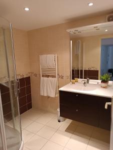 een badkamer met een wastafel en een douche bij Havre de paix Les pélicans in Vichy