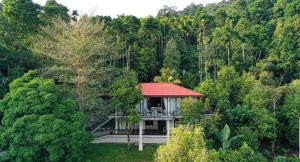 una casa con techo rojo en medio de un bosque en Balumgala Estate Bungalow Kandy, 