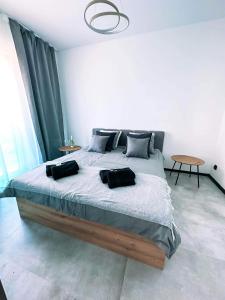 a bedroom with a large bed with two pillows on it at Apartament 101 Aquarius Boszkowo in Boszkowo