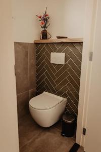 ein Bad mit einem weißen WC in einem Zimmer in der Unterkunft Luxe schuurwoning 't Nieuwt in Chaam, Nederland in Chaam