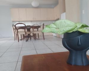 a green plant in a blue vase in a kitchen at Άνετο Διαμέρισμα in Artemida