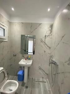 a bathroom with a toilet and a sink and a shower at Wave n' Sea Apartments in Himare