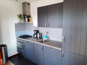 a kitchen with blue cabinets and a sink at Vakantiehuisjes Marsherne in Poppingawier