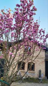 貝萊的住宿－La Maison cachée du PAVILLON BELLEVUE，一座建筑物前有粉红色花的树