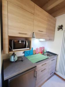 a kitchen with a sink and a microwave at Agritur Masi Brenta in Rovereto