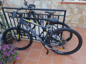 Ciclism la sau în apropiere de Casetta delle Mimose
