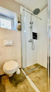 a bathroom with a toilet and a shower at Apartment Marta in Preko +17 photos
