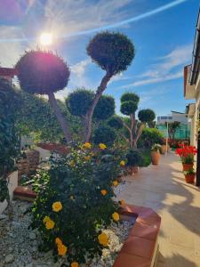 Zahrada ubytování Kleade B&B