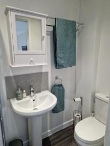 a bathroom with a sink and a toilet and a mirror at Bunny Lodge - Garden view & free parking in Plumtree