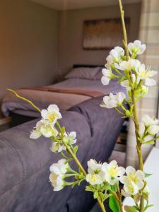 a vase with white flowers in front of a bed at Bunny Lodge - Garden view & free parking in Plumtree