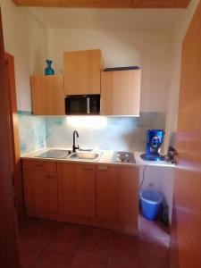 Kuchyň nebo kuchyňský kout v ubytování FerienAppartments Landhaus FühlDichWohl