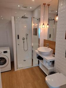 y baño con ducha, lavabo y lavadora. en Pokoje De Luxe Figaro, en Płock
