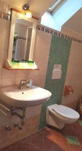 Koupelna v ubytování FerienAppartments Landhaus FühlDichWohl
