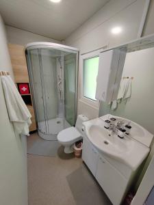 a bathroom with a shower and a sink and a toilet at Mobile Homes "Golden Stone" in Sveti Juraj