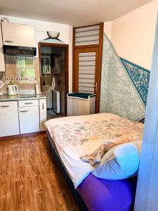ポルトロスにあるApartma Angelikaのカウンター付きのキッチンにベッドが備わる部屋