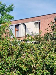 A garden outside Les Maisons des Fleurs