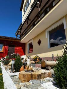 a garden in front of a house with a tree stump at Pensiunea Colt de Rai, Vistisoara in Stațiunea Climaterică Sâmbăta