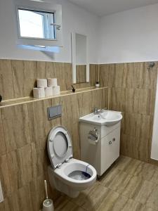 uma casa de banho com um WC e um lavatório em Pensiunea Colt de Rai, Vistisoara em Stațiunea Climaterică Sâmbăta