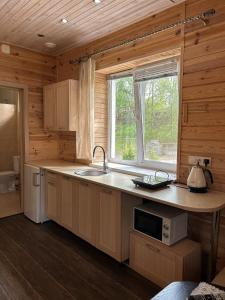 eine Küche mit einem Waschbecken und einem Fenster in einer Hütte in der Unterkunft Котедж бiля рiчки село Кудашiвка in Kudashevka