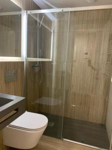 a bathroom with a toilet and a glass shower at Joyel de la Ribera in Aranda de Duero