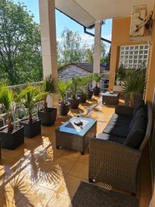 a patio with chairs and a table and potted plants at Casa Day&Amy in Eforie Sud