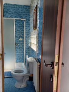 a bathroom with a toilet and a glass shower at Vila Oltețul in Predeal