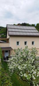 una casa con un árbol floreciente delante de ella en Apartma B & O, en Idrija