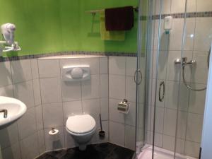 a bathroom with a toilet and a glass shower at Zur Hessischen Schweiz in Dörnhagen +30 photos
