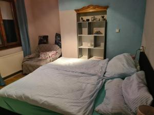 1 dormitorio con cama y estante para libros en Ferienhaus Janine ruhig gelegen mit grossem Garten und WIFI, en Balatonberény