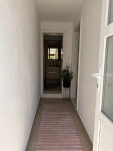 a hallway with a rug on the floor and a plant at Madonna Guest House in Dubrovnik
