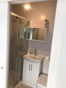 a bathroom with a shower and a sink and a toilet at En Suite Double Room 2 in Plumstead