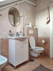 a bathroom with a toilet and a sink and a mirror at Apartman NS Dan FREE PARKING in Novi Sad