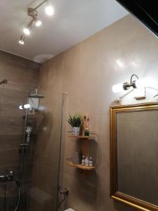 Koupelna v ubytování Slim apartman i sobe