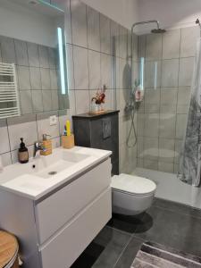 uma casa de banho com um lavatório, um WC e um chuveiro em FLOWER HOUSE em Hvolsvöllur