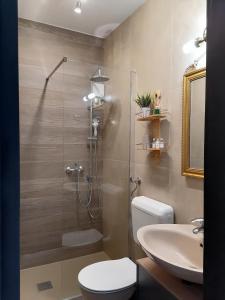 a bathroom with a shower and a toilet and a sink at Slim apartman i sobe in Medulin