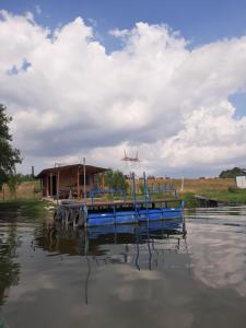 ein Haus auf einem Dock auf dem Wasser mit einem Flugzeug in der Unterkunft Kapitalac in Banatska Palanka