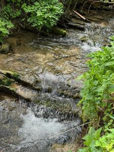 Fotografie z fotogalerie ubytování Domki letniskowe pod Brzozami Stella v destinaci Polańczyk