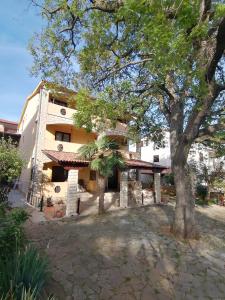 un edificio con un árbol delante de él en Slim apartman i sobe, en Medulin