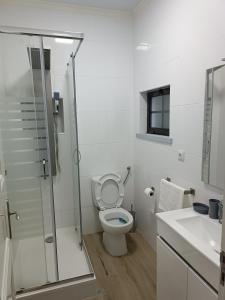 a bathroom with a toilet and a glass shower at Alojamento Local M&I in Lajes das Flores +39 photos